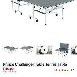 Ping Pong Table 
