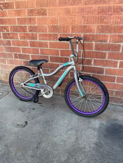 Schwinn Kid’s Bicycle Bike