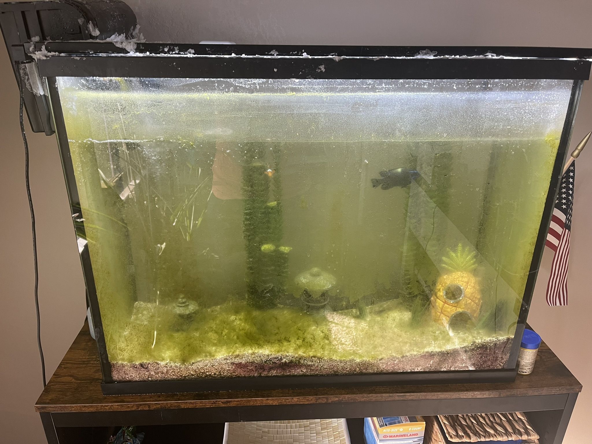 Fish Tank With Supplies Included