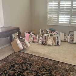 Give Away Prices For A Doll Collection