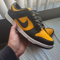 Nike Dunks Lows University