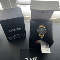 Citizen Axiom Eco-Drive Women's Quartz Watch Black Leather Gold Stainless Steel