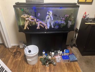 Aquarium 55-Gallon + Stand + All Equipment
