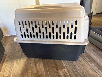 Dog kennel