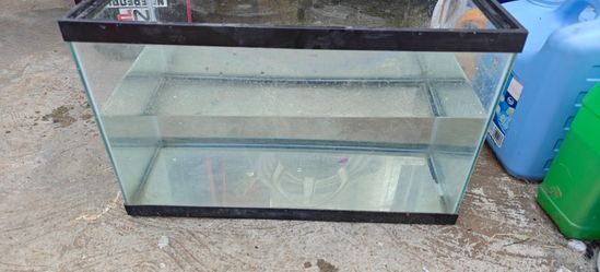 Fish Tank with accessories