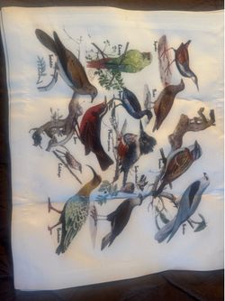 Bird placements