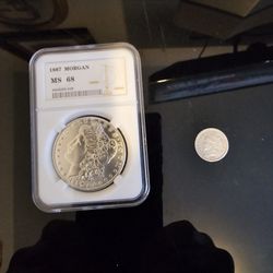Morgan  Silver Dollar