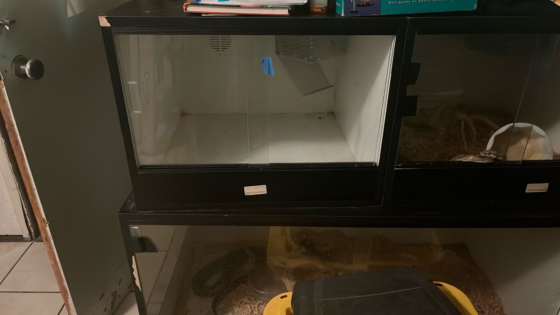 Terrarium 