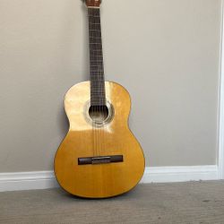Acoustic Guitar 