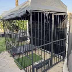 Dog Kennel
