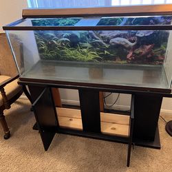 Fish Tank