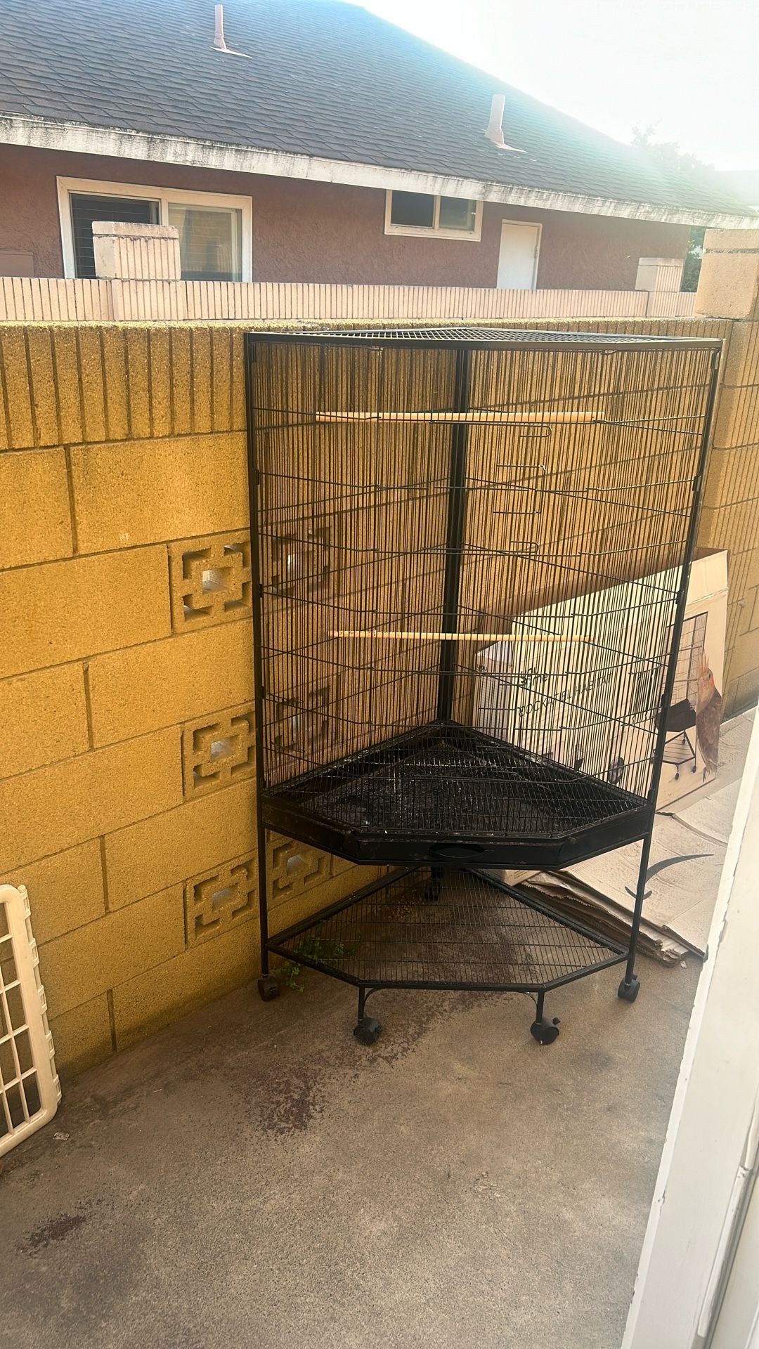 Bird Cage