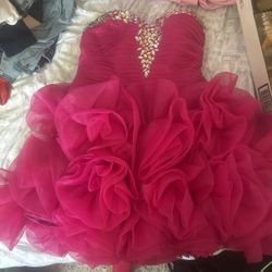 Pink Ruffled Rose Dress
