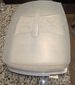 Cake/Cupcake Carrier, Wilton
