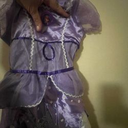 Sofia The Princess Costume 