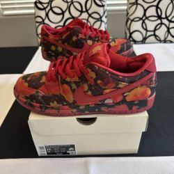 Nike SB Dunk Low Wizard Of Oz Poppy Field