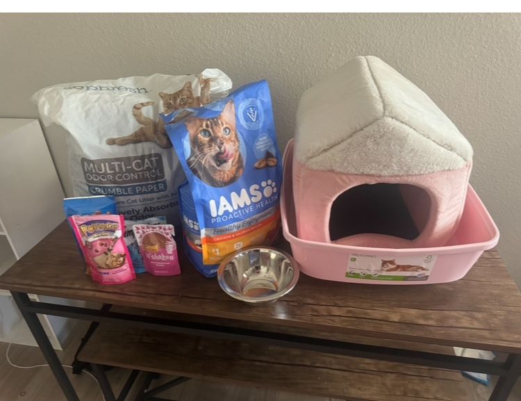 Cat Stuff