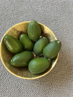 Organic Avocados! $1 each