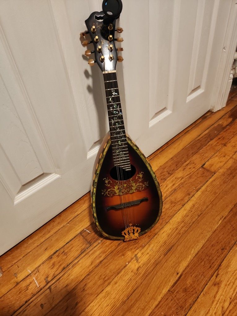 Bowlback Mandolin with Tuner and Case