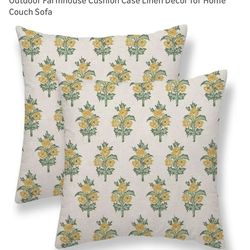 Pillow covers only set of 2