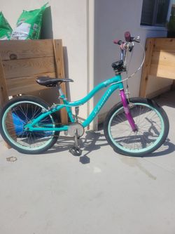 20"kids swhinn bike