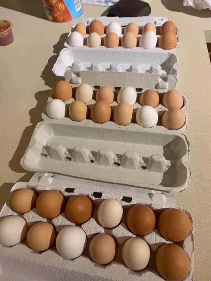 Farm Raised Eggs