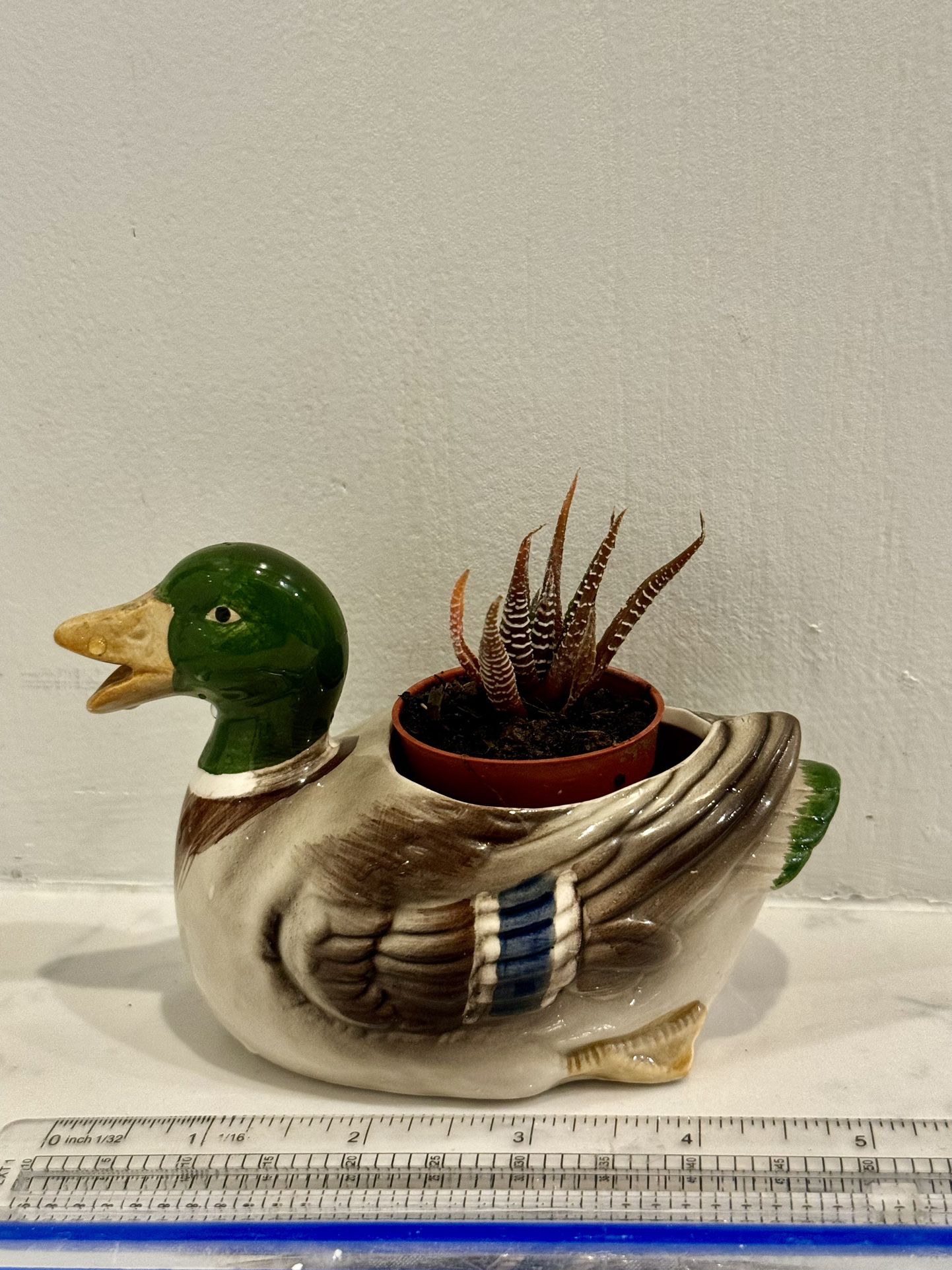 🦆 Rare: Vintage 1981 Japanese otagiri Duck Planter w Succulent 