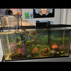 65 Gal Tank w/ Turtle And Fish 