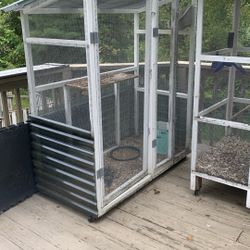 Costume bird cages on roller wheels
