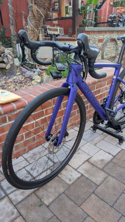 2024 Specialized Roubaix SL8 Sport 105 - Size 52cm - Carbon Endurance Road Bike