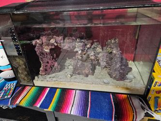 Salt fish tank