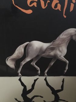 Cavalia Poster