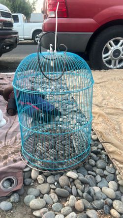 Jaula para Pajaros