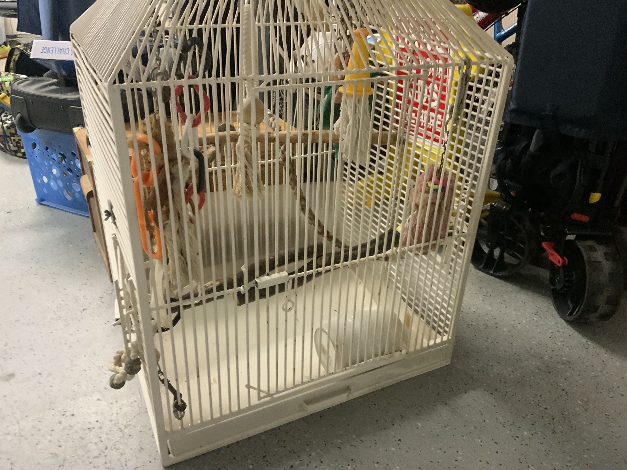 Large Bird Cage