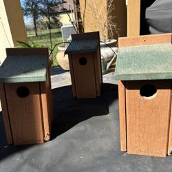 Audubon Going Green Blue Bird Houses 12”