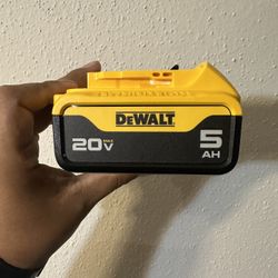 New Dewalt 5ah Battery!