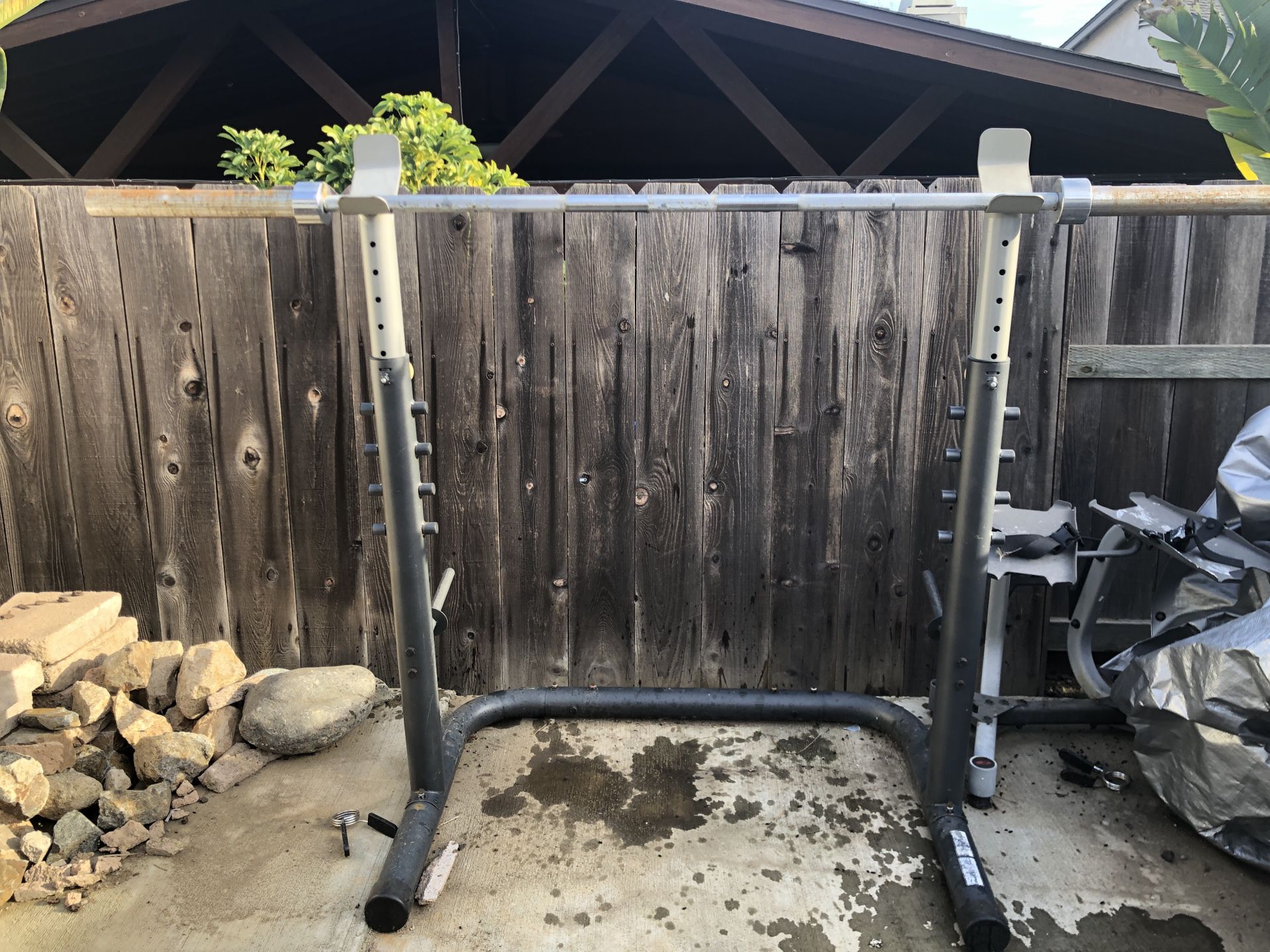 Golds gym squat rack and Weider weights