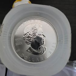 Silver Coin