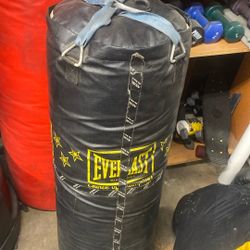 Everlast Bag. 