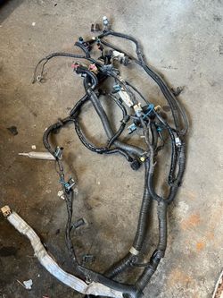 Gto harness