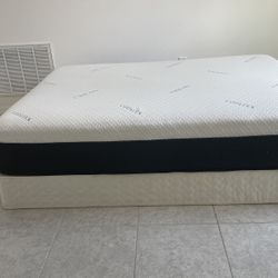 cool Tex Queen Sherwood Hybrid