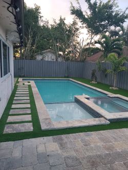 Grass
