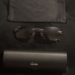 Buffalo Horn Designer Glasses