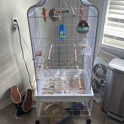 Bird Cage