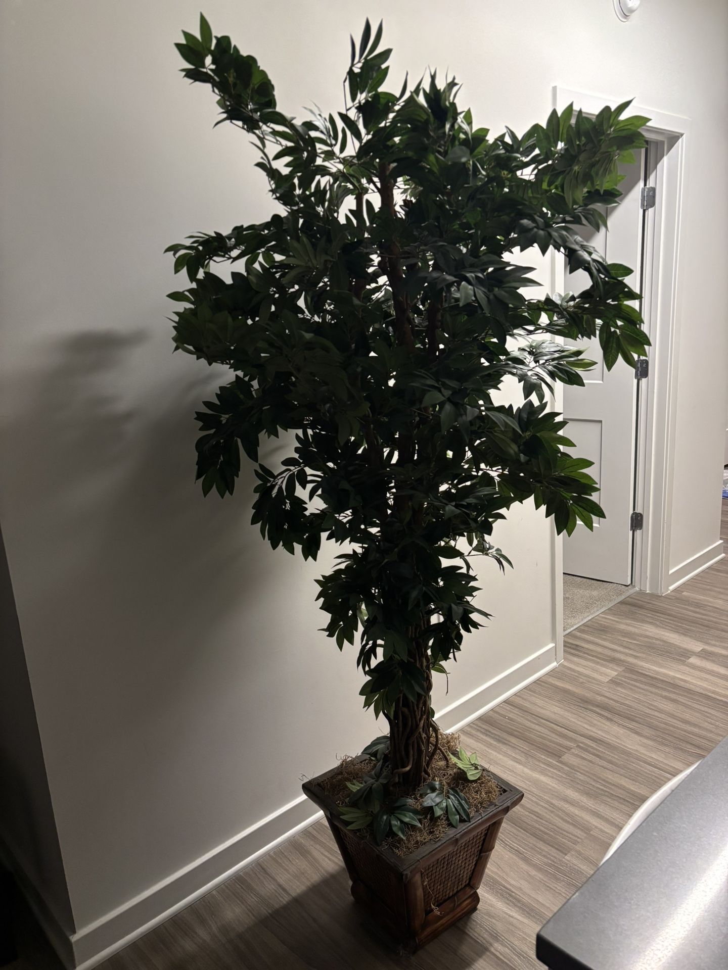 Fake Plant