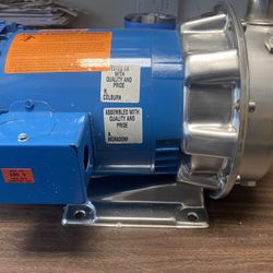 Goulds Water Booster Pump