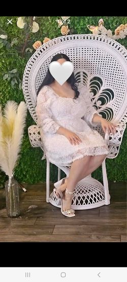 Peacock Chair