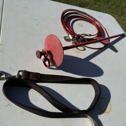Dog Training Leash, Stake and Cable