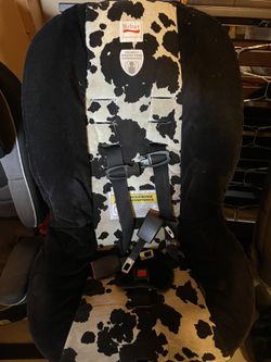 Toddler Car Seat