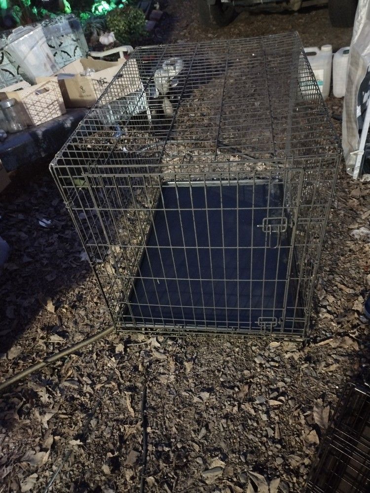 Brand New Extra Large Dog Crate